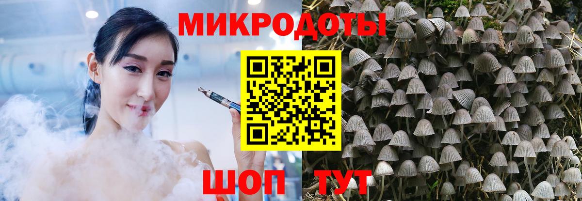 Галлюциногенные грибы мицелий Заволжье